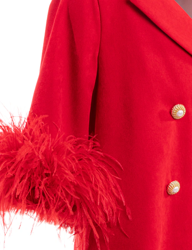 Coat Dress