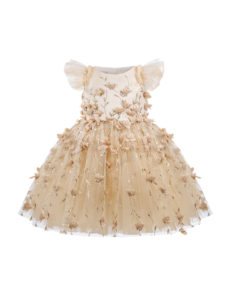 Baby Dress