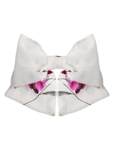 Hair clip