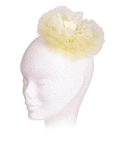 Hair Clip