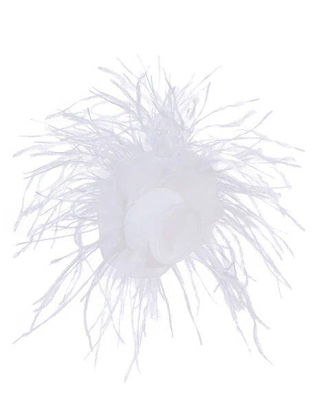 Hairclip