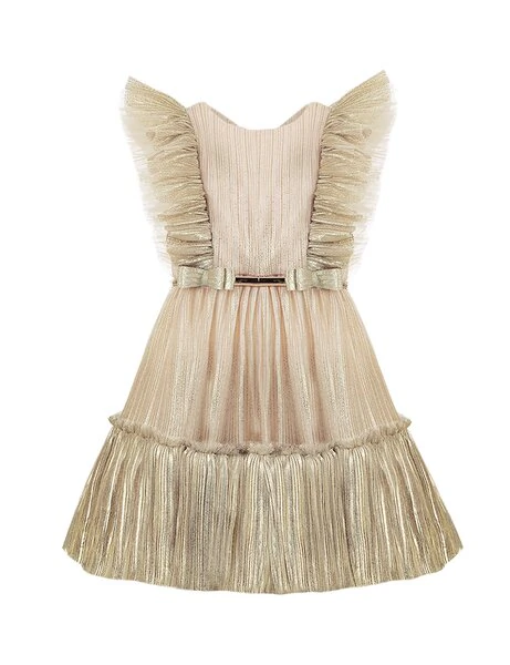 Metallic pleated dress